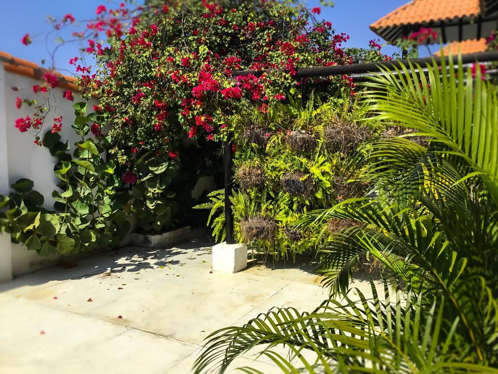 Casa Ines Bed & Breakfast Santa Marta  Luaran gambar